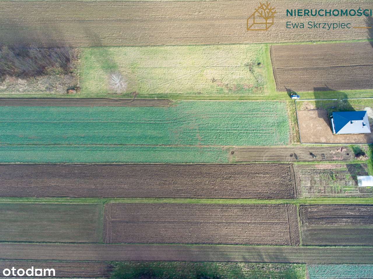 Działka WZ zagrodowymi w Maliniu koło Mielca, powierzchnia 0,1515 ha - Pełny obrazek: 5/13