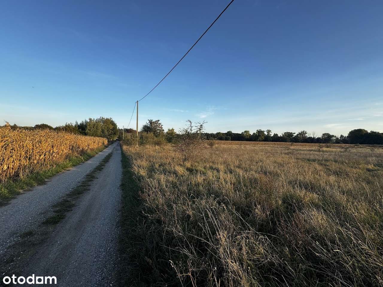 Lednogóra/blisko Stacji PKP/usługowo/budowlana-6