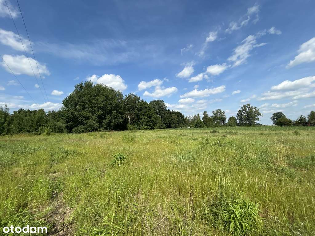 Miejscowość - Dobra. Działka wsród zieleni-5