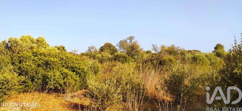 Terreno T1 em Bensafrim e Barão de São João de 25200,00 m2 - Grande imagem: 5/29