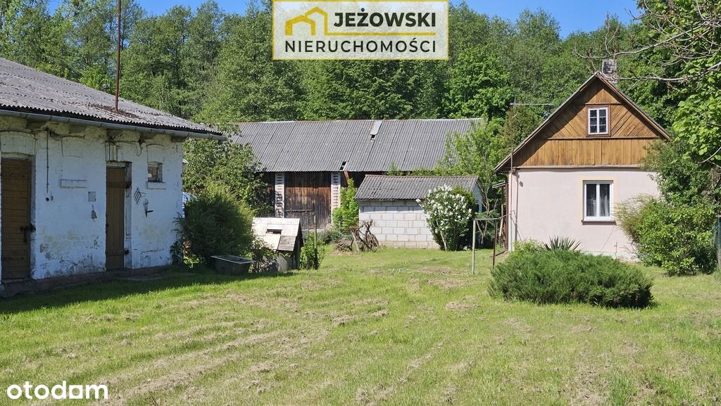 Działka/siedlisko, dom, stodoła 6km od Kazimierza.