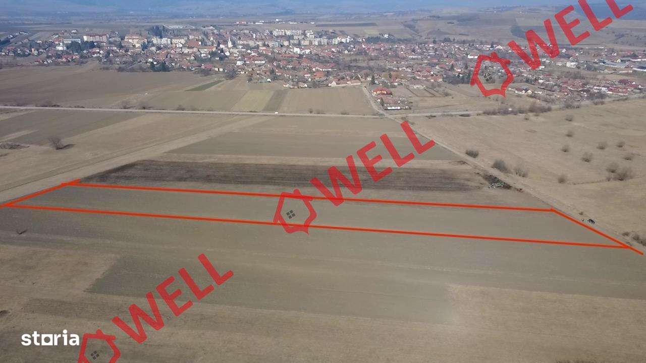 De vânzare teren extravilan în loc.Baraolt - Imagine principală: 2/6