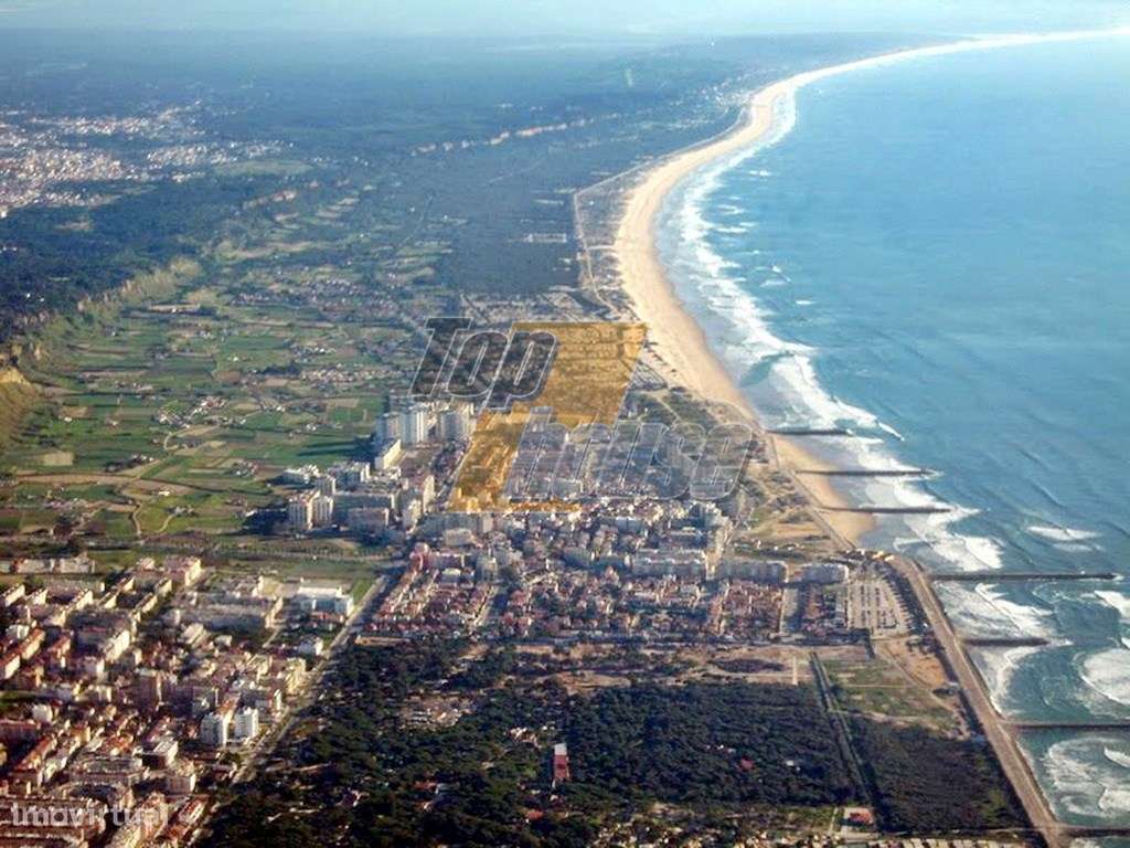 Apartamento T1 Costa de Caparica Totalmente Reabilitado-18