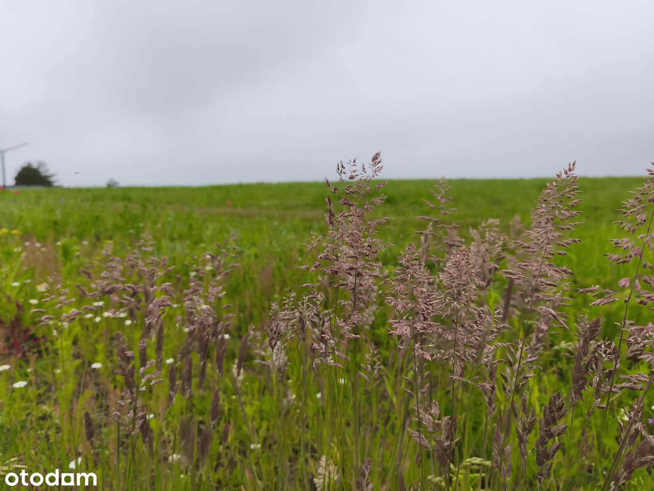 Działka z pozwoleniem na budowę-10