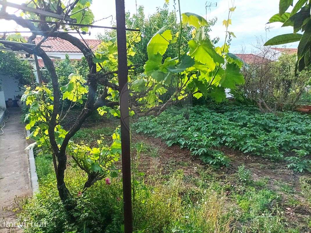 Moradia T2 para venda-4