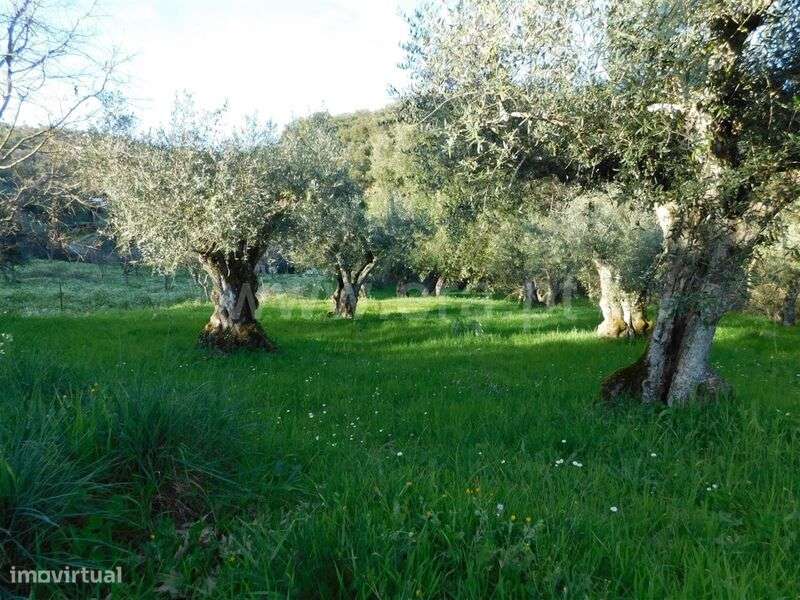Terreno / Fundão, Telhado - Grande imagem: 3/5