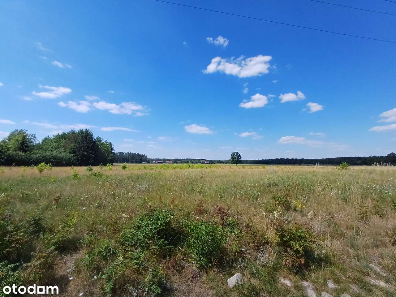 Działka na MAZURACH - OKAZJA-7