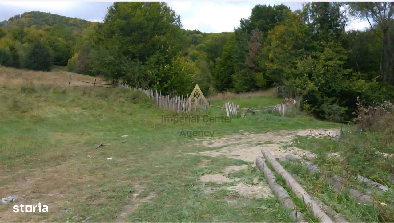 TEREN DE VANZARE IN SLANIC MOLDOVA - Imagine principală: 4/4