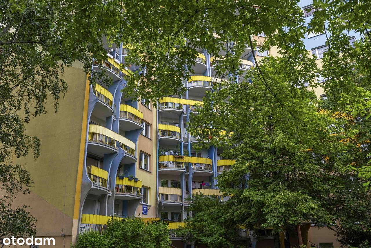 3 pokoje na Krzykach | Świetna lokalizacja i funkcjonalny układ-9