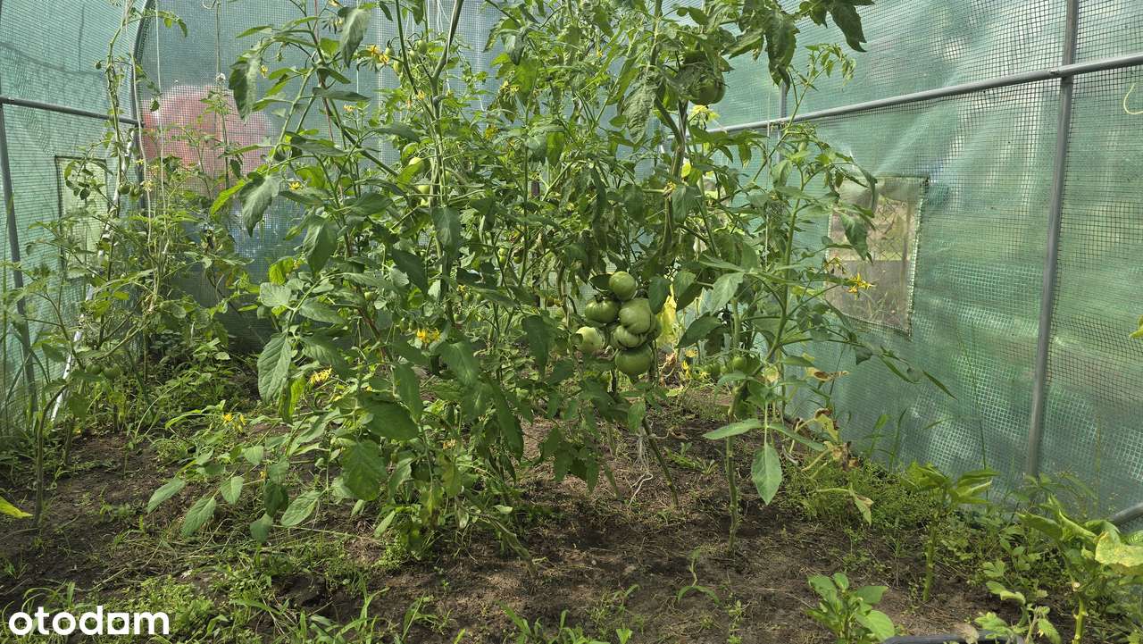 Nowoczesne 2-pokojowe, opcjonalnie garaż i ogródek-13