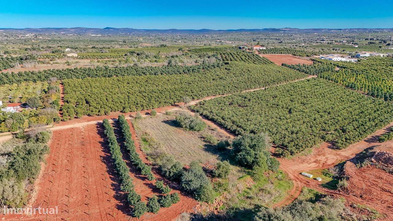 Terreno rústico em Silves - Grande imagem: 4/6