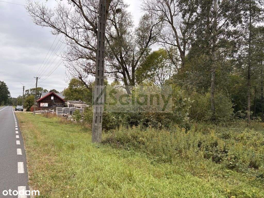 Działka budowlana w Wilkowie Polskim. - Pełny obrazek: 5/14