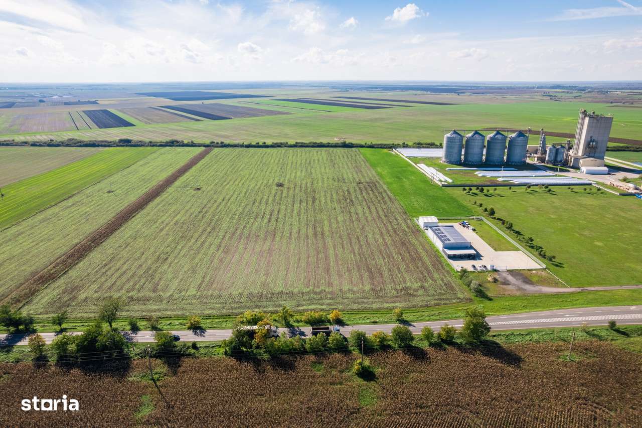 Teren de 104000 mp în Vinga - Imagine principală: 4/8