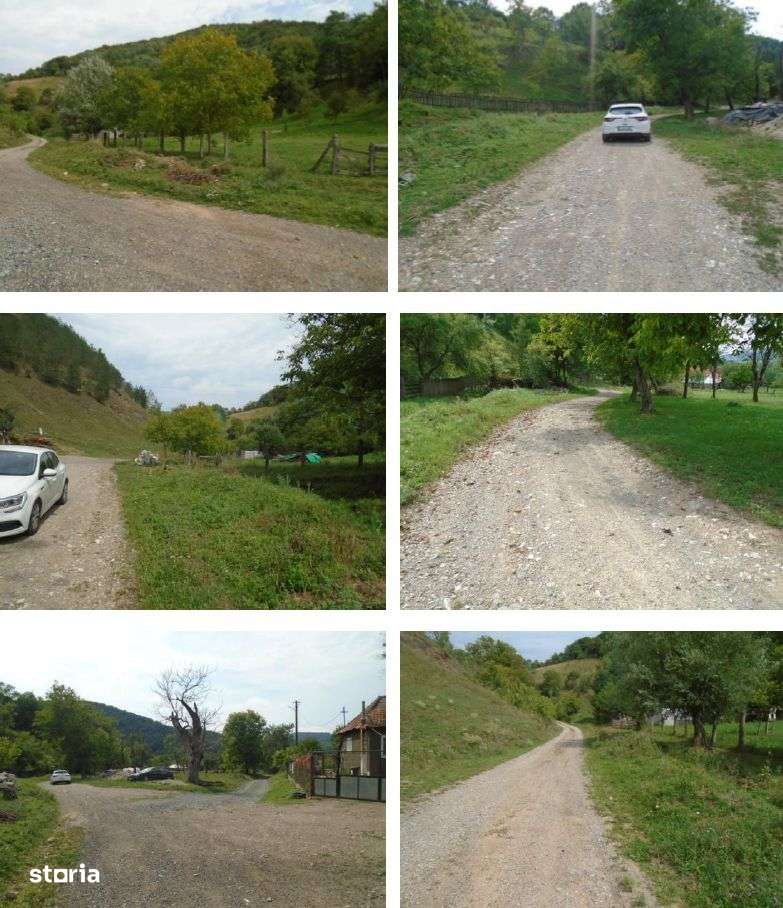 Teren extravilan-Loc. Roscani, comuna Dobra, judetul Hunedoara; - Imagine principală: 5/5