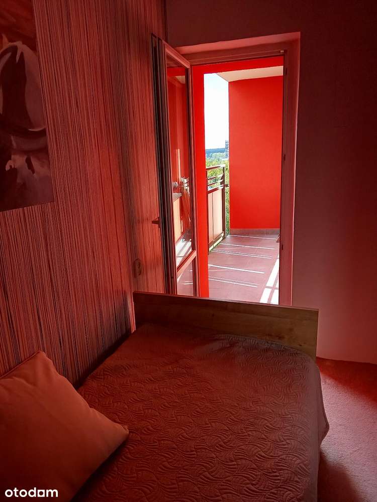 Duża Kawalerka do wynajęcia, bez pośrednika, Aleja Bielska, Tychy - Pełny obrazek: 4/9