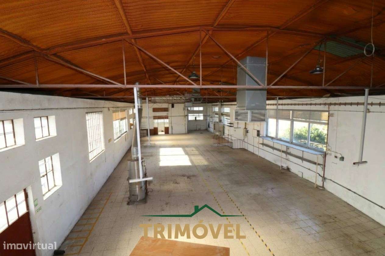 Armazém  Venda em São Roque,Oliveira de Azeméis-17
