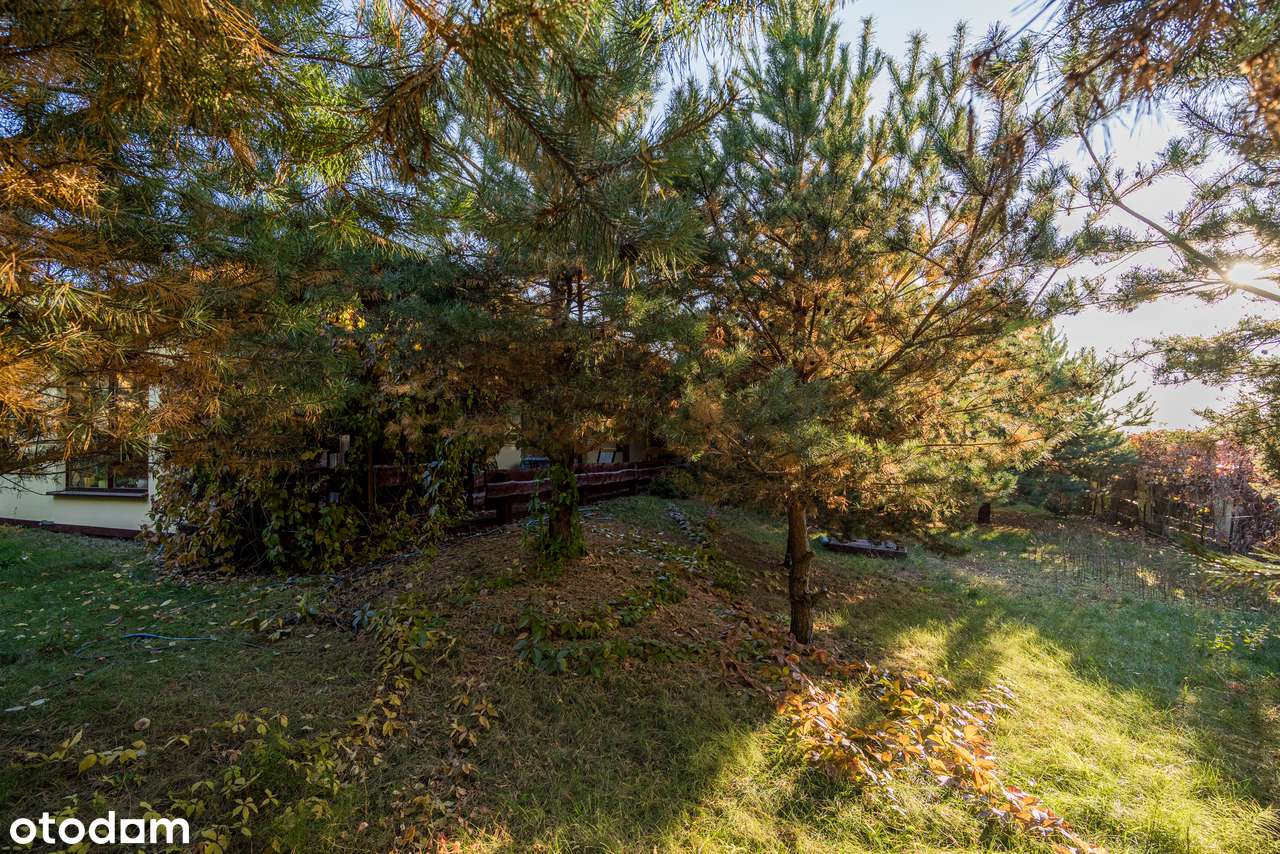 Tylko  20  minut  do W-wy  -  super  okolica , spokój . - Pełny obrazek: 5/19