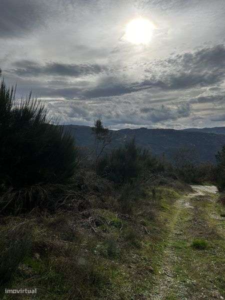 Terreno com Ruina - Serra do Marão - Grande imagem: 4/9