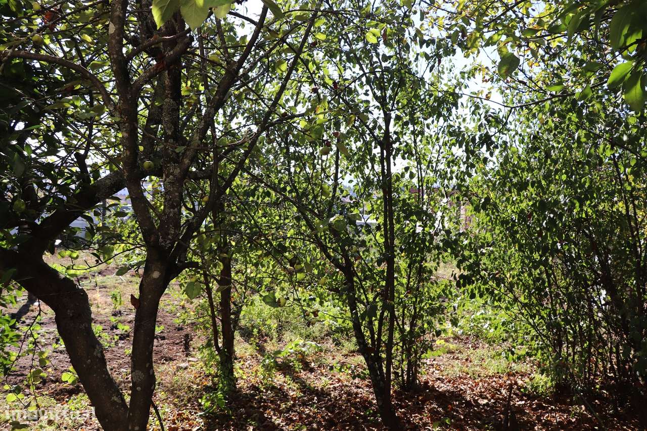 Moradia Isolada T3 Venda em Freamunde,Paços de Ferreira-30