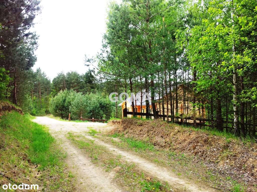 Działka budowl-rekreacyjna jez. Buwełno k/Orzysza-8