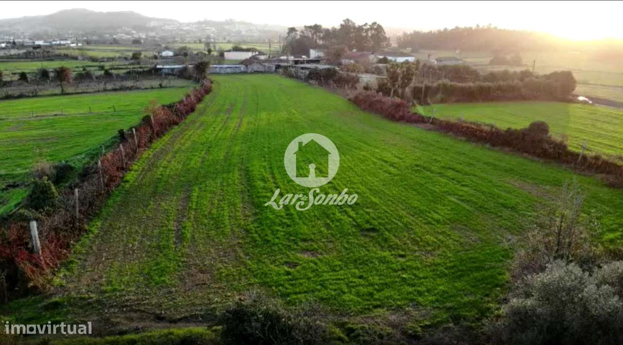 Quinta com 9.000m2, em Fradelos, Vila Nova de Famalicão! - Grande imagem: 4/28