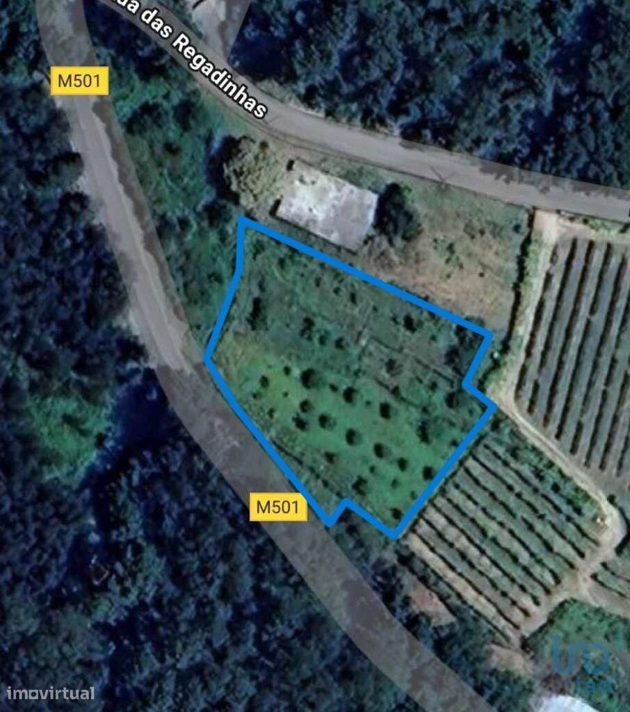 Terreno em Vila e Roussas de 1866,00 m2 - Grande imagem: 1/6