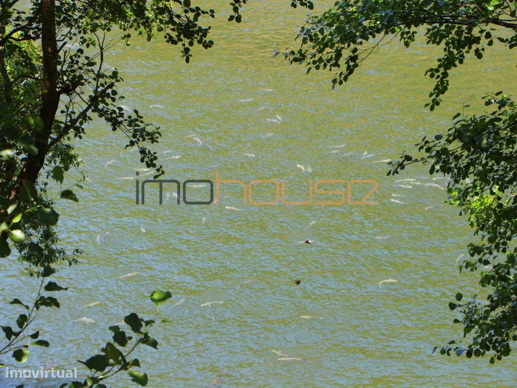 Quinta com frente de Rio Douro-33