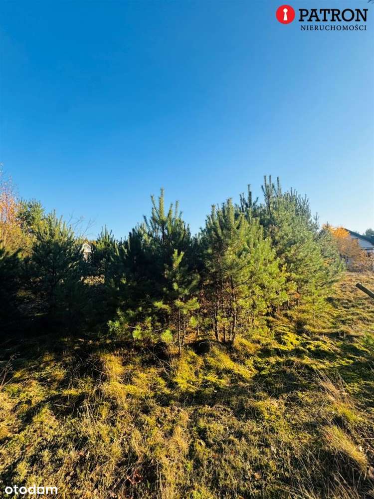 Sprzedam działkę o pow. 2 438 m² w Rurzycy-18