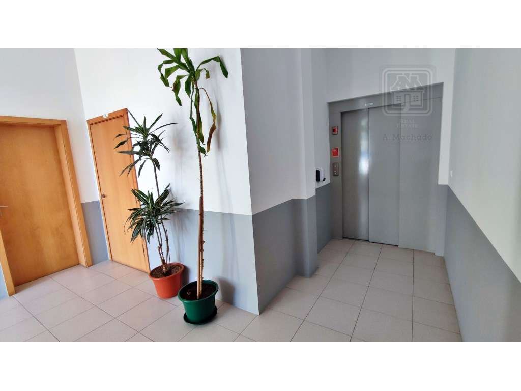 VENDA de ARRECADAÇÃO na cidade de Ponta Delgada (São José), Ilha de... - Grande imagem: 5/13