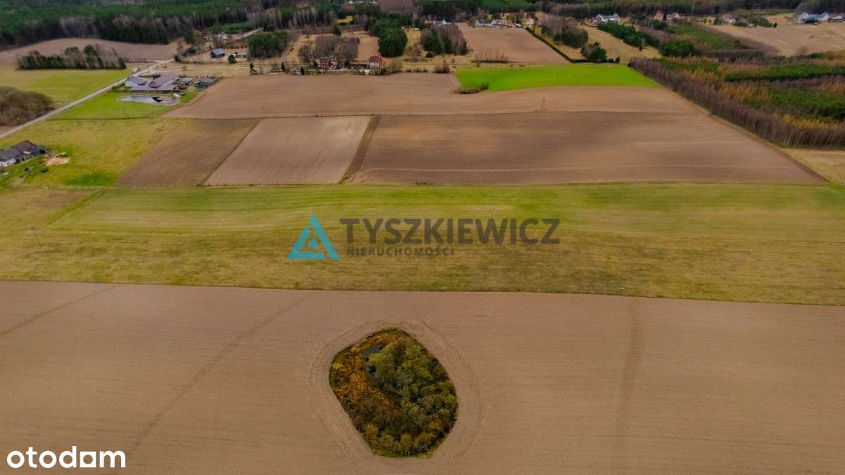 Sprzedaż Działek Siedliskowych w Gumieńcu - Pełny obrazek: 5/18