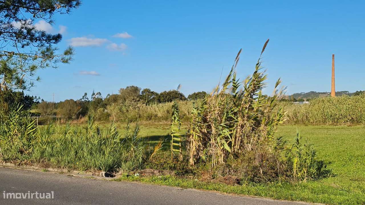 Terreno plano, com 16.947 m², para desenvolvimento industrial/logístic - Grande imagem: 5/17