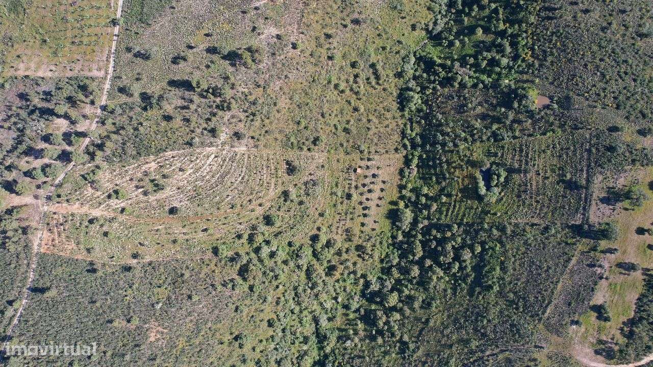 Terreno - Grande imagem: 3/6