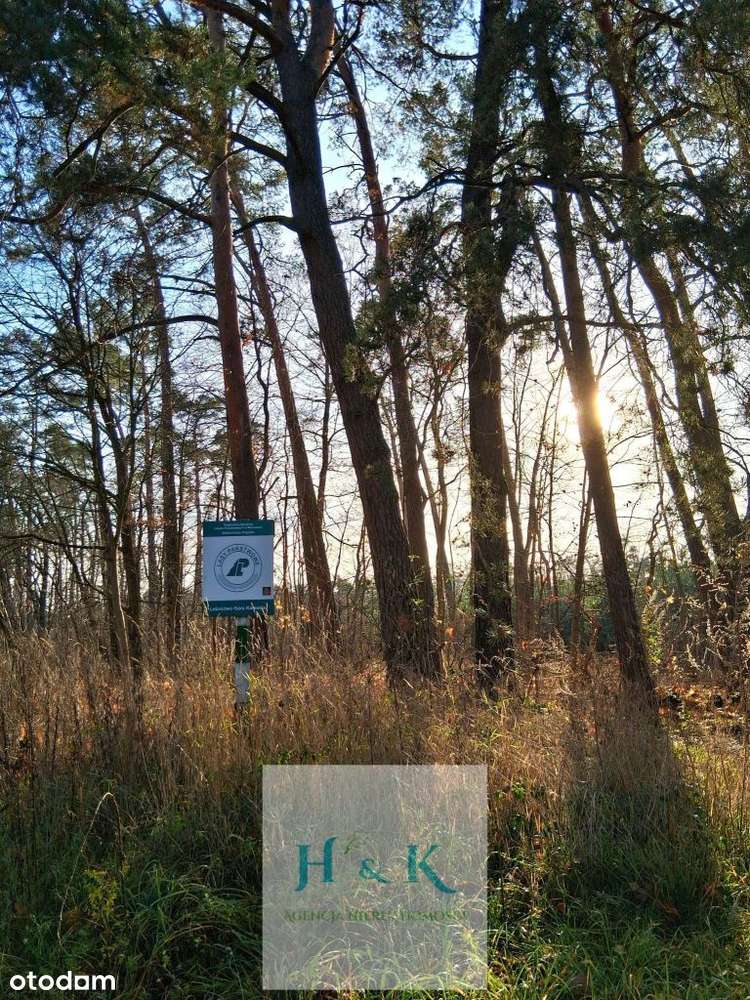 Duża działka budowlana w okolicy Konstancina-Jezio-9