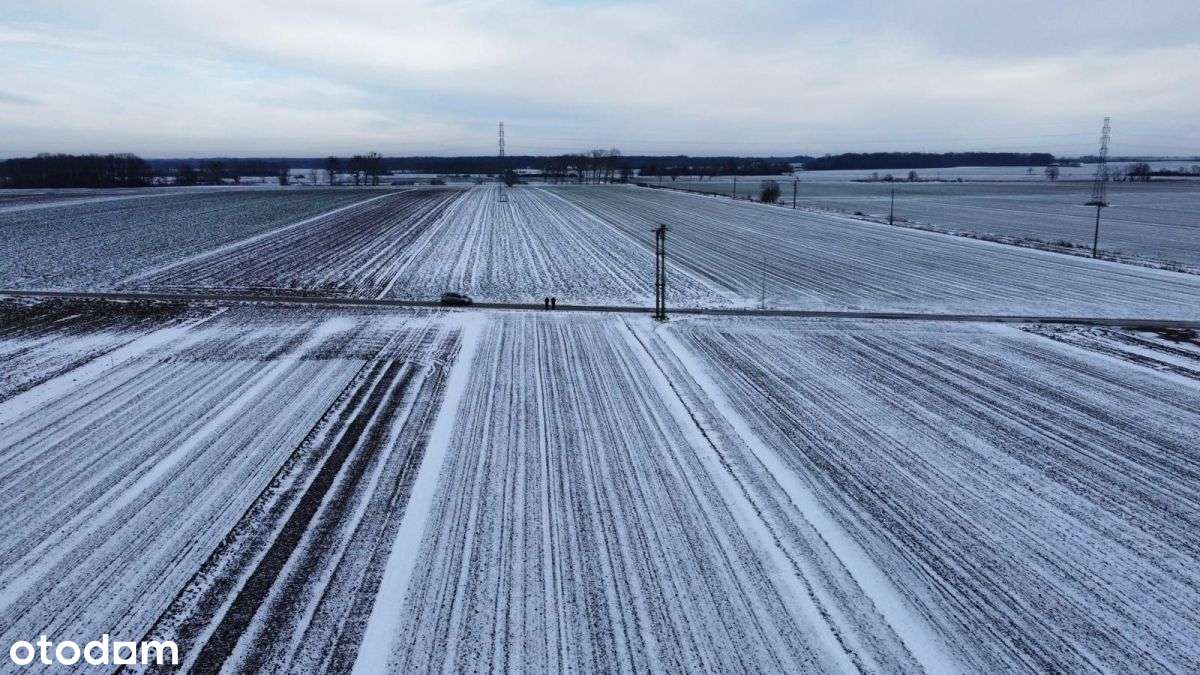 Dom w Chwalibożycach z działkami budo. 50 arów-6