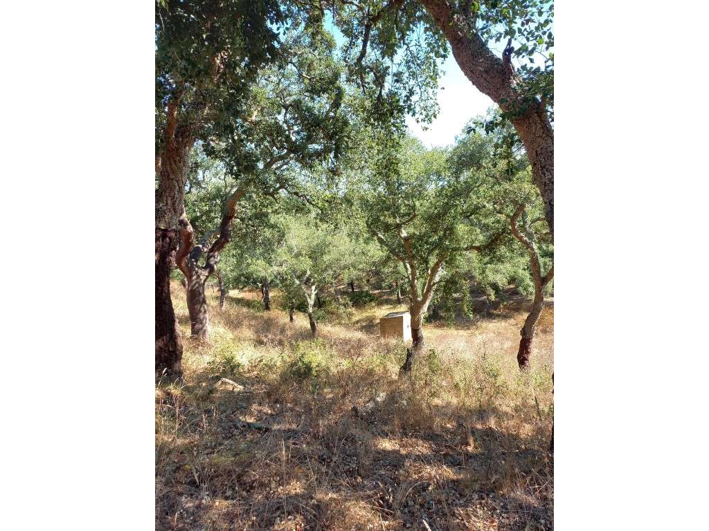 Terreno em são Francisco da Serra-7