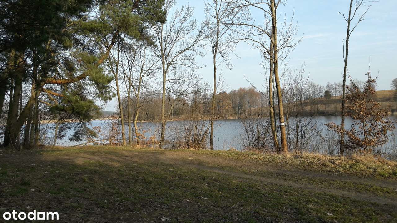 Zalew Koronowski , przy lesie , 90m do Jeziora -zobacz! 1485m - Pełny obrazek: 4/8