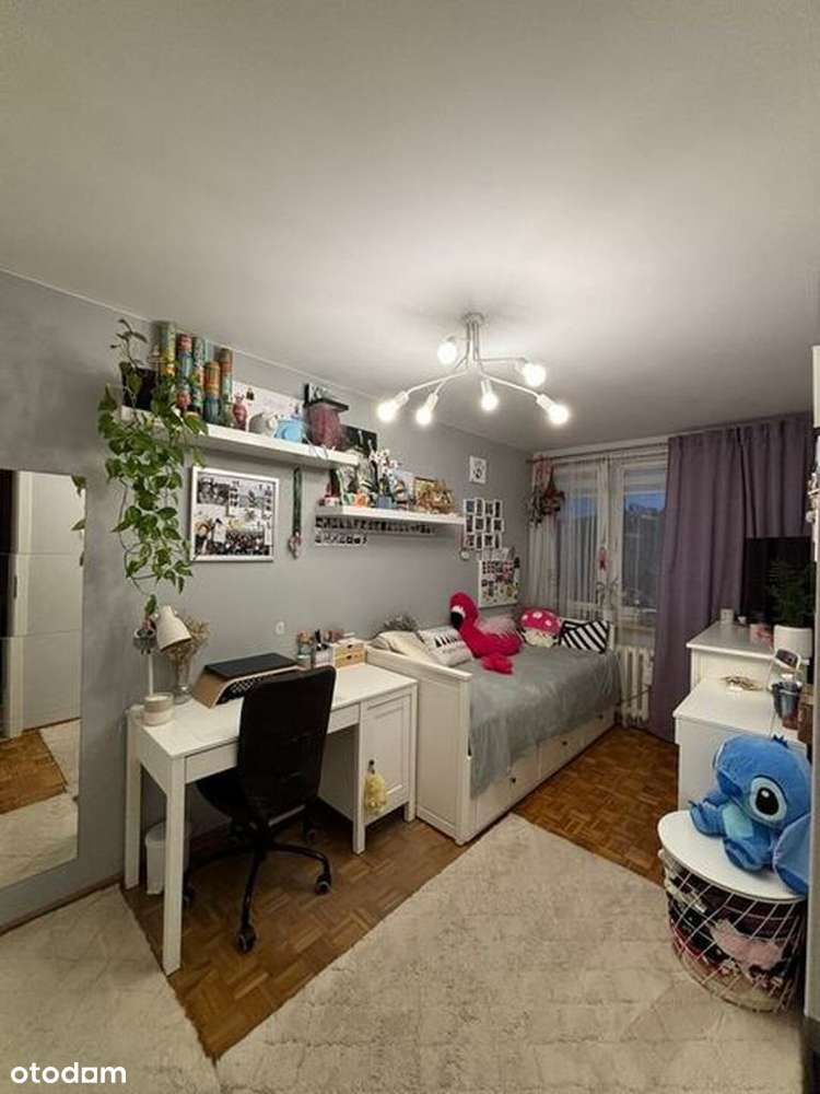 0 % Prowizji // Centrum // - Pełny obrazek: 5/9