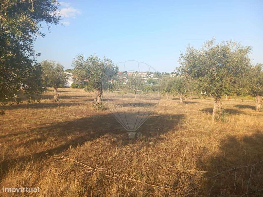 Terreno  para venda - Grande imagem: 2/5