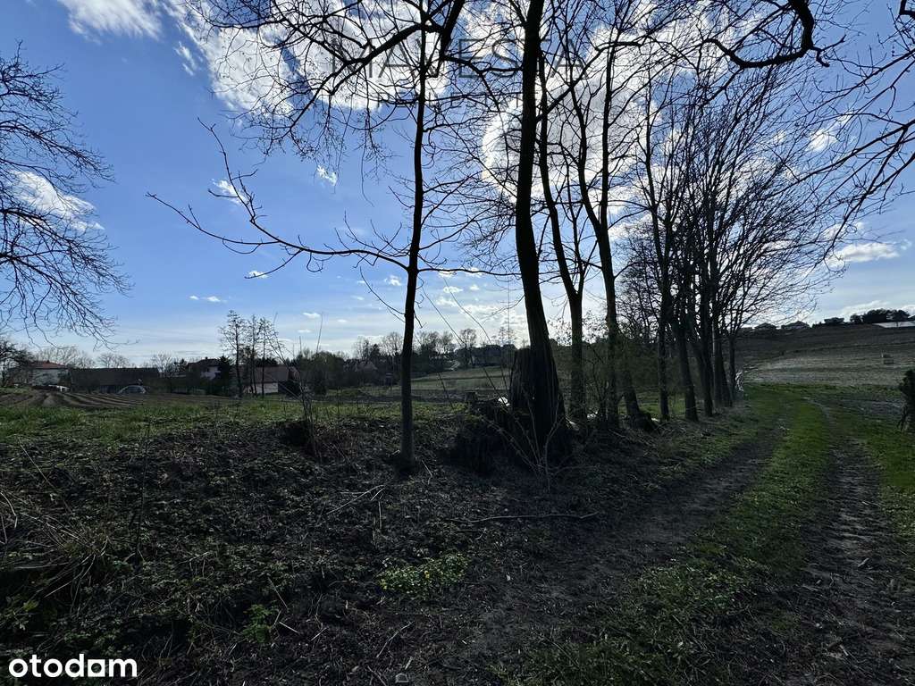 Atrakcyjna działka budowlana | 10a | m. Głęboka-1