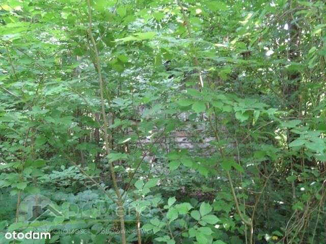 Działka, 27 100 m², Hucisko-1