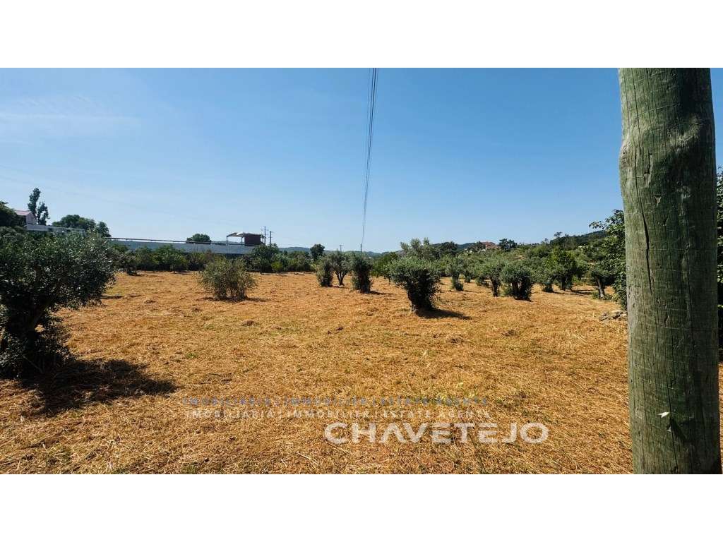 Quintinha T4 com Amplas zona para Oficinas, Terreno Plano e Enorme ...-52