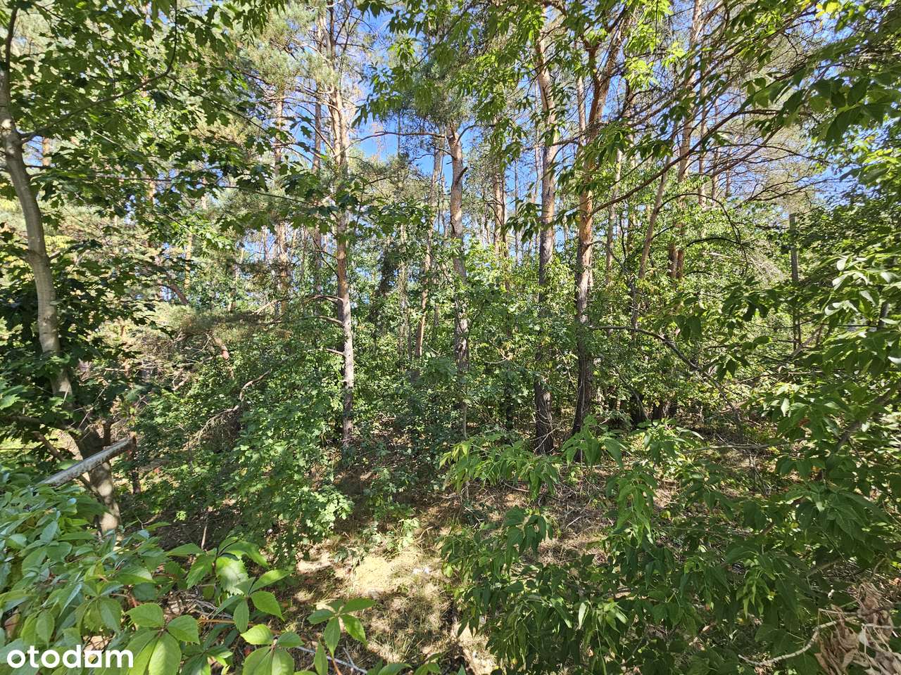 Na sprzedaż działka budowlana 1812 m² – Józefów, pow. otwocki - Pełny obrazek: 2/5