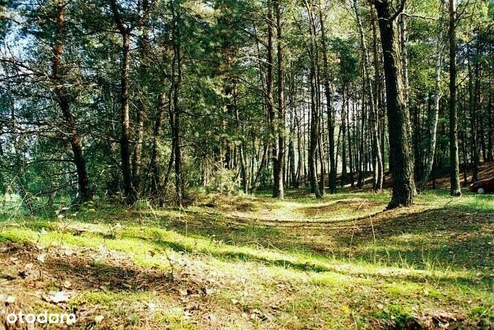 Arciechów - działka budowlana z lasem, Nieporęt