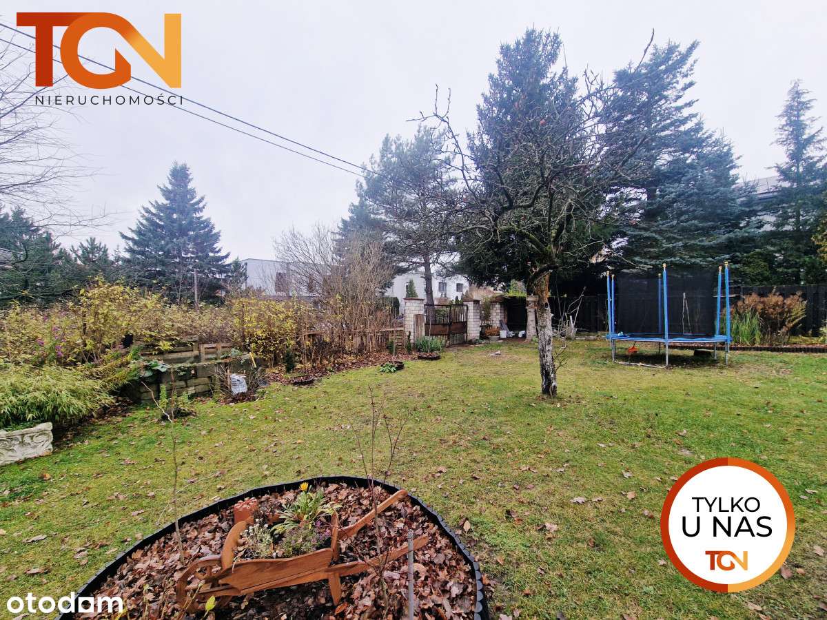 Działka inwestycyjna na Rogach - Pełny obrazek: 2/4