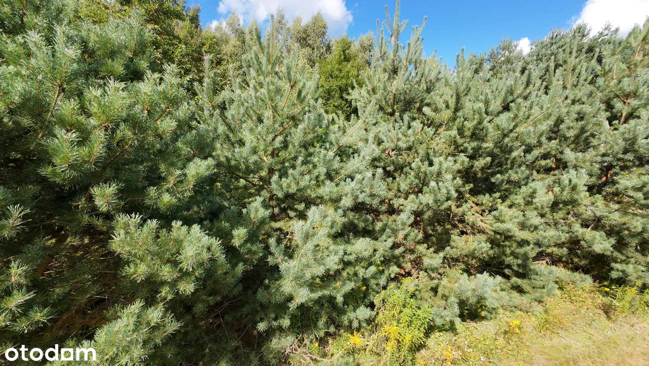 Działka budowlana Słowak - Pełny obrazek: 4/6