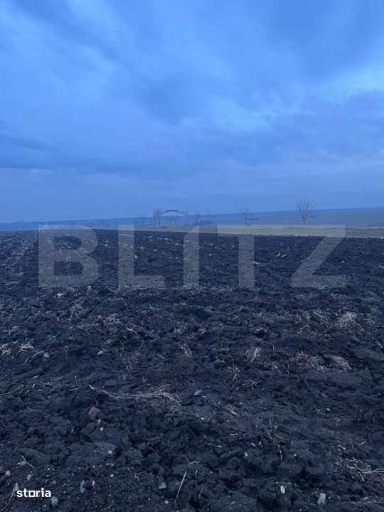 Oportunitate investitie, teren 10000 mp, toate utilitatile - Imagine principală: 4/4