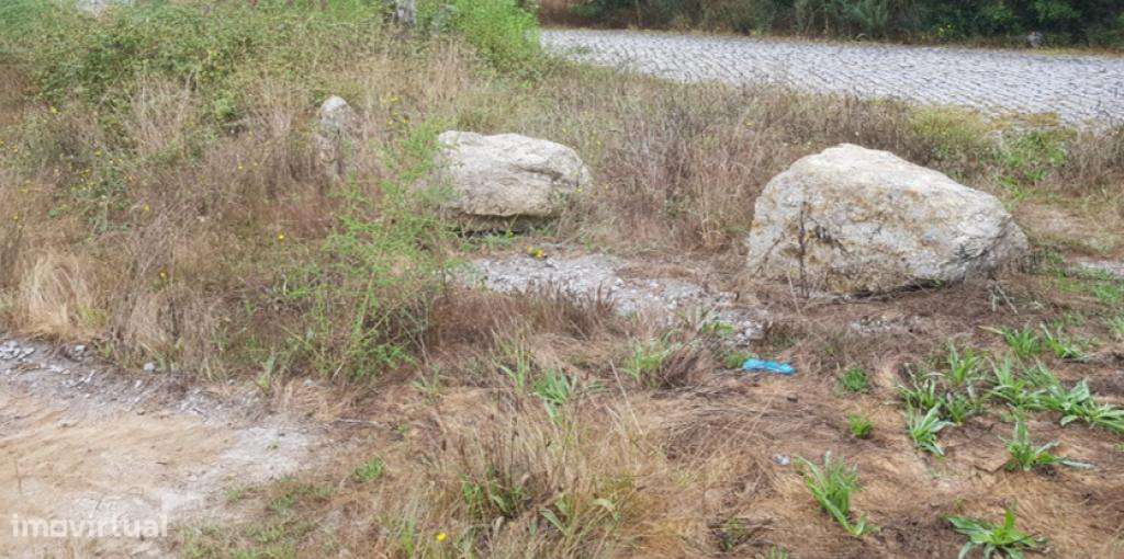 Terreno Rustico 5787 m2 - Grande imagem: 4/5