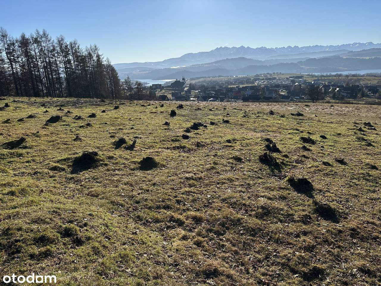 Działka rolna z pięknym widokiem na Jezioro i Tatry - Pełny obrazek: 5/7