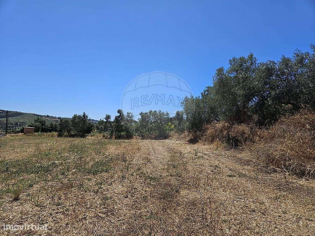 Terreno  para venda - Grande imagem: 5/6