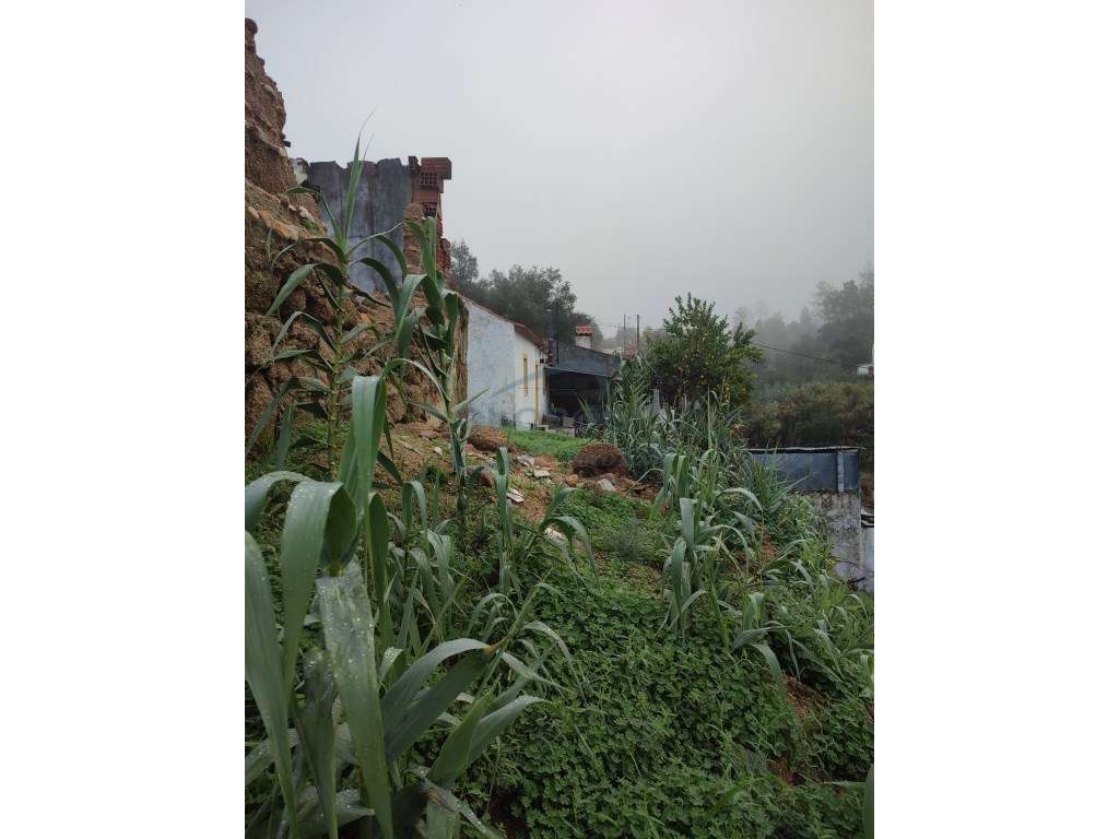 Terreno com Ruína para Reconstrução - Arripiado - Grande imagem: 3/6